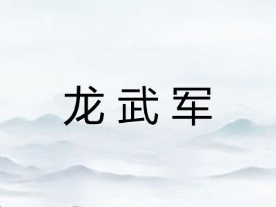 龙武军