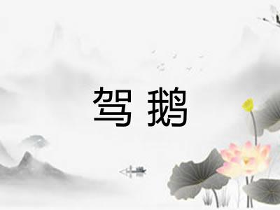 驾鹅