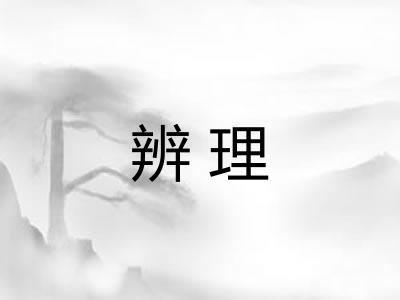 辨理