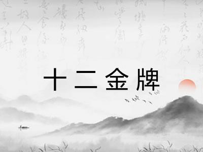 十二金牌