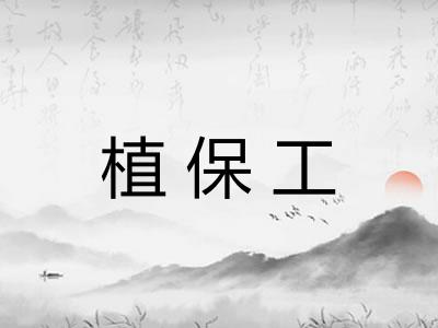 植保工 植保工