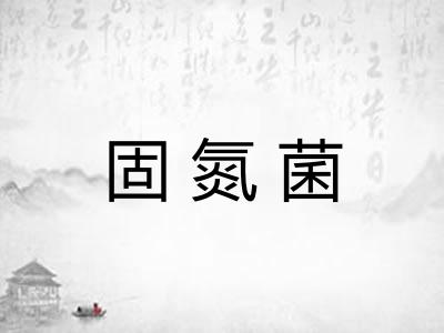 固氮菌
