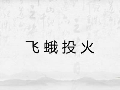 飞蛾投火