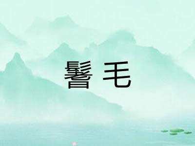 鬐毛 鬐毛