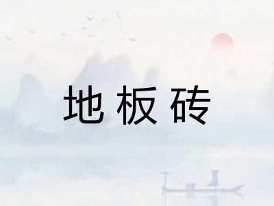 地板砖 地板砖