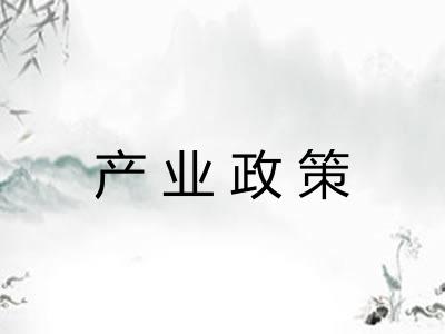 产业政策