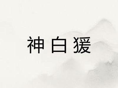 神白猨