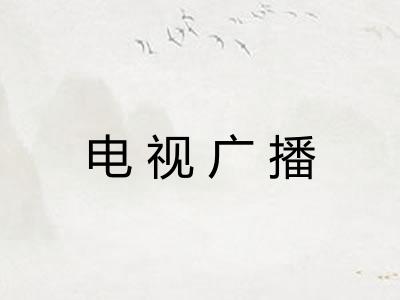 电视广播 电视广播