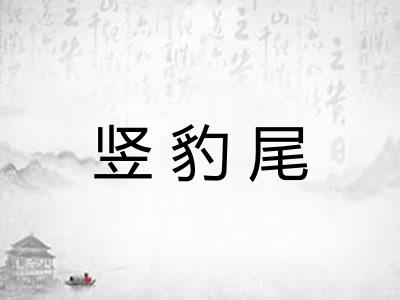 竖豹尾