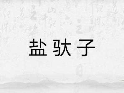 盐驮子