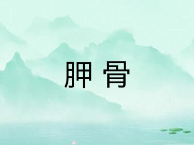 胛骨