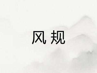 风规