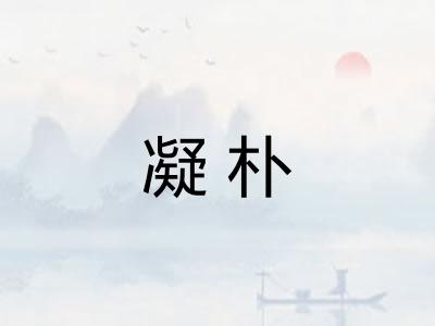 凝朴
