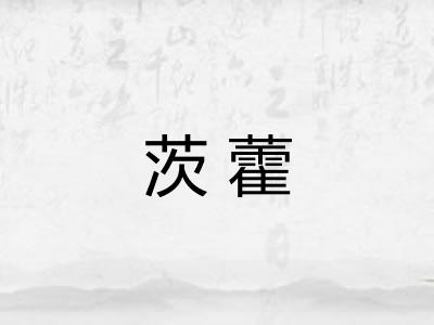 茨藿