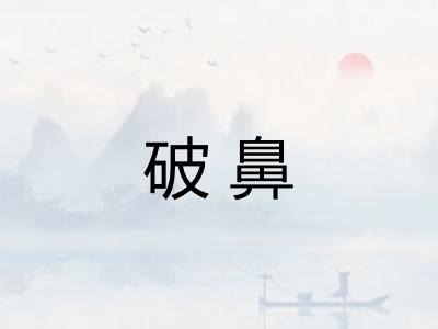 破鼻