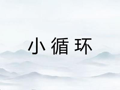 小循环
