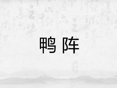 鸭阵