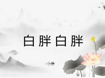 白胖白胖