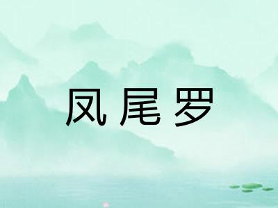 凤尾罗