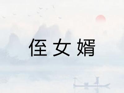 侄女婿