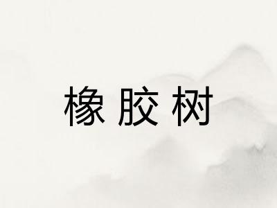 橡胶树 橡胶树