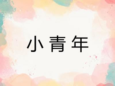 小青年