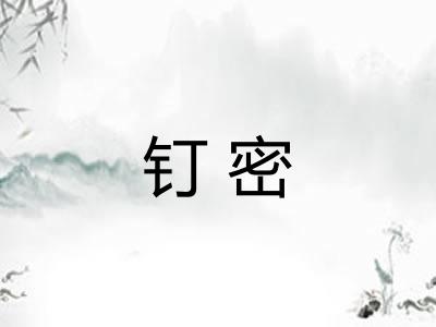 钉密