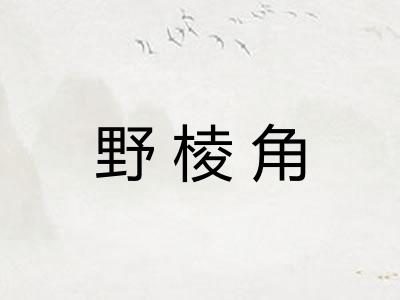 野棱角