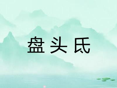 盘头氐
