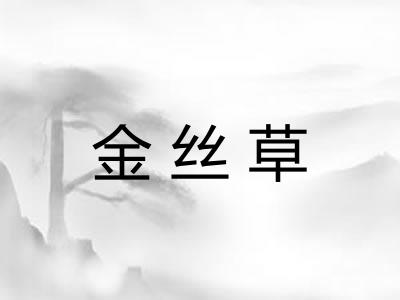 金丝草