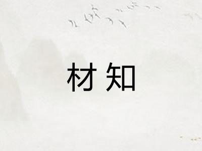 材知