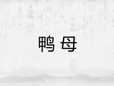 鸭母