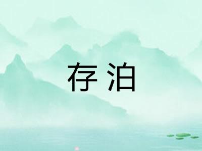 存泊