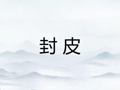 封皮