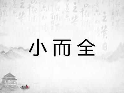 小而全
