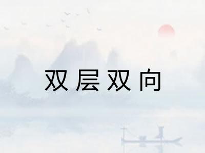 双层双向 双层双向