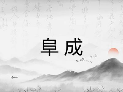 阜成