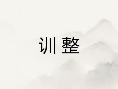 训整