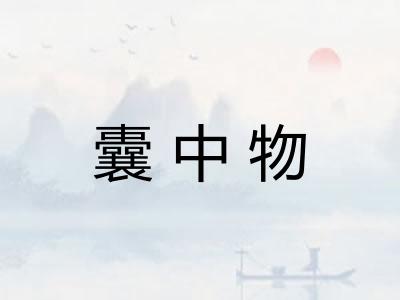 囊中物