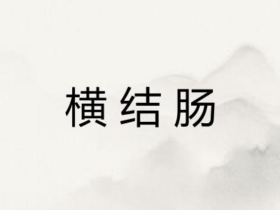 横结肠