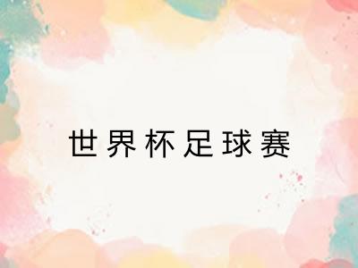 世界杯足球赛 世界杯足球赛
