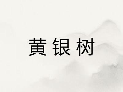 黄银树 黄银树
