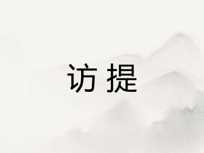 访提