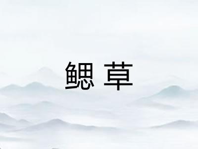 鳃草