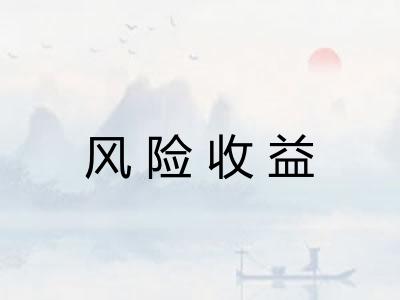 风险收益