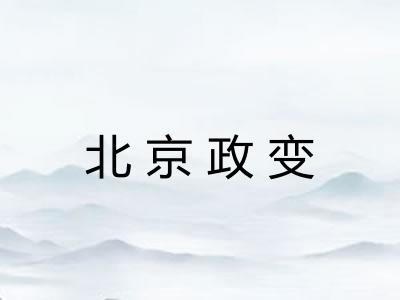 北京政变