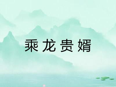 乘龙贵婿