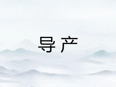 导产