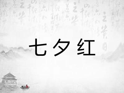 七夕红