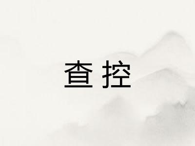 查控